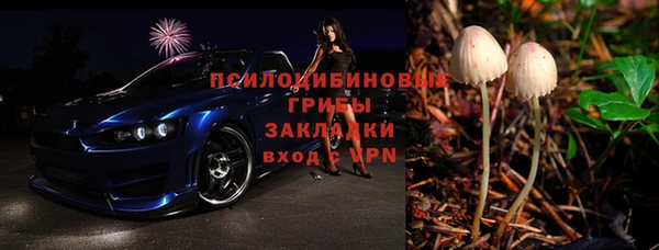 твердый Елизово
