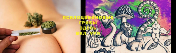твердый Елизово
