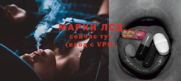 твердый Елизово
