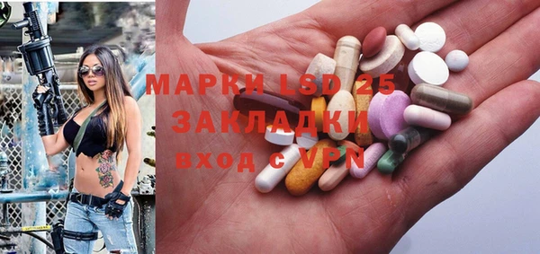 твердый Елизово